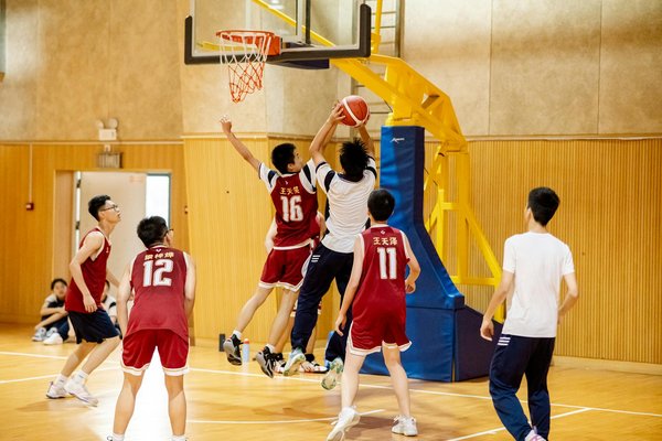 Équipement de gym professionnel vs équipement pour particuliers